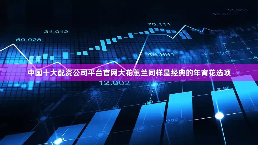 中国十大配资公司平台官网大花蕙兰同样是经典的年宵花选项