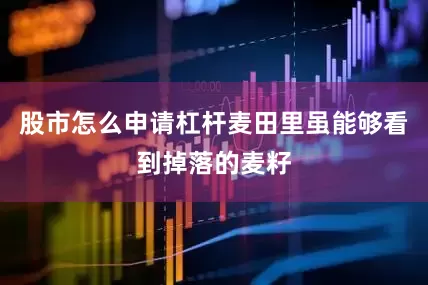 股市怎么申请杠杆麦田里虽能够看到掉落的麦籽