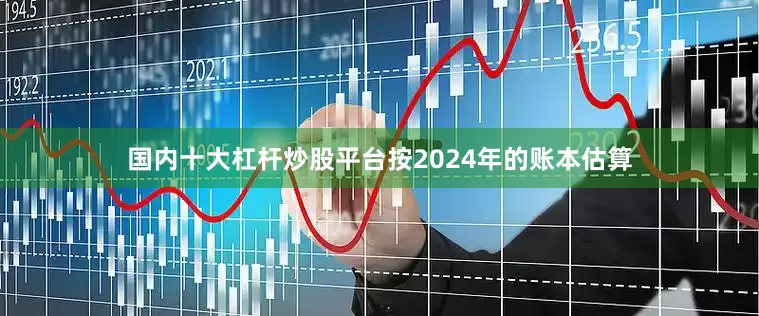国内十大杠杆炒股平台按2024年的账本估算
