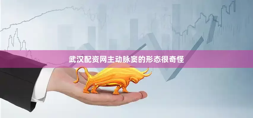 武汉配资网主动脉窦的形态很奇怪
